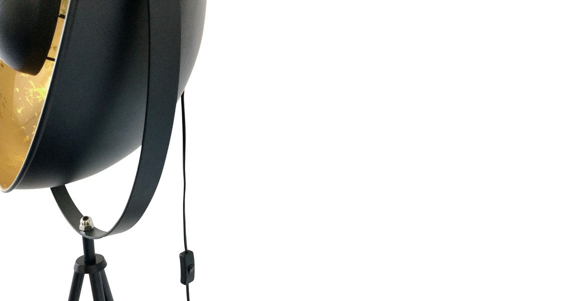 Fortune Modern Floor Lamp