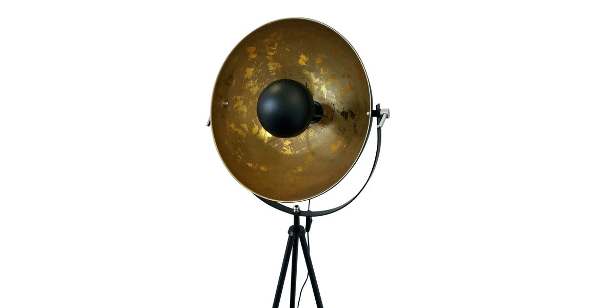 Fortune Modern Floor Lamp